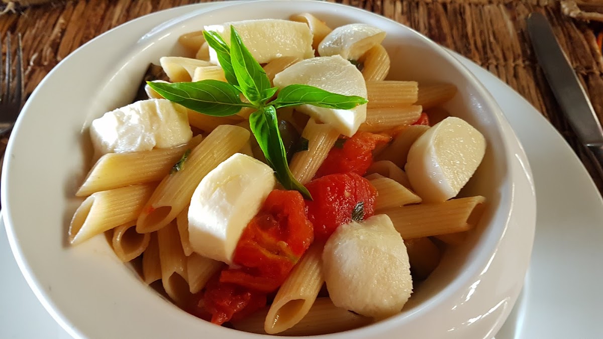 New Cactus gallery 1