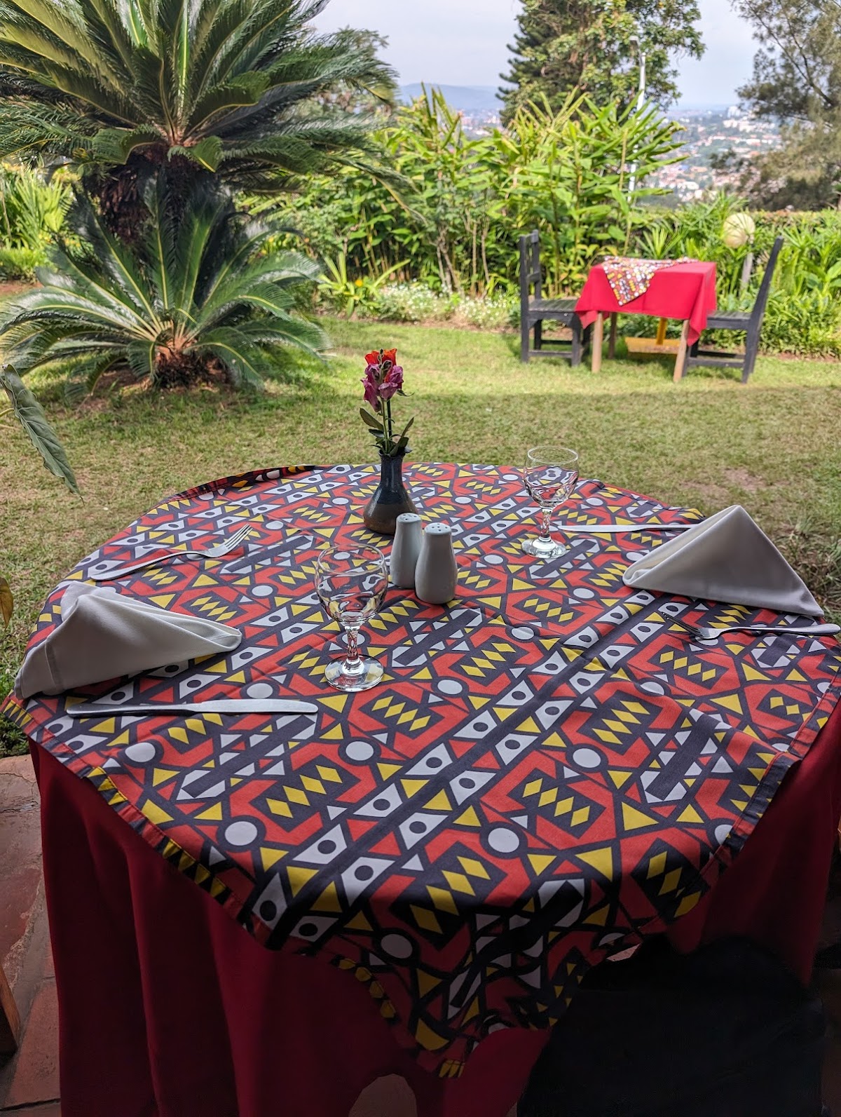 New Cactus gallery 3