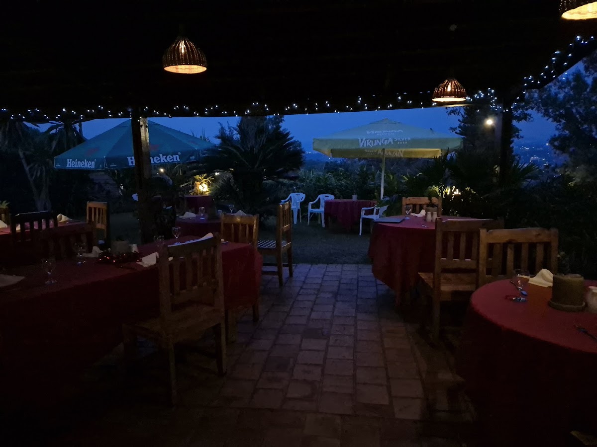 New Cactus gallery 4