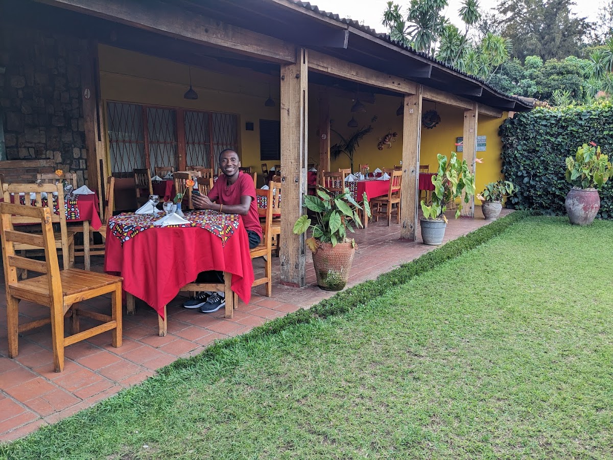 New Cactus gallery 5